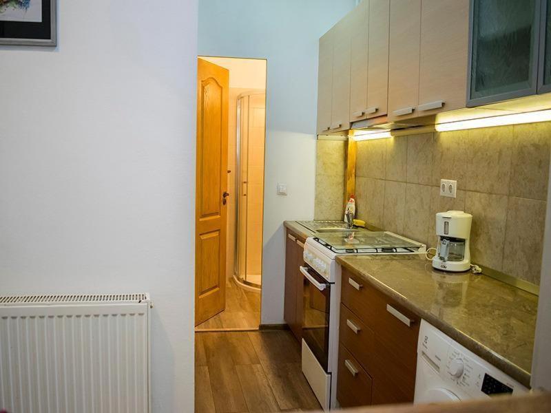 Studio Summer Apartment Sibiu Exterior foto